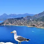 A0831 Calp