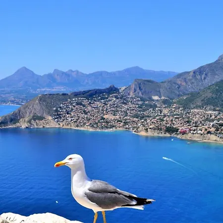 A0831 Calpe